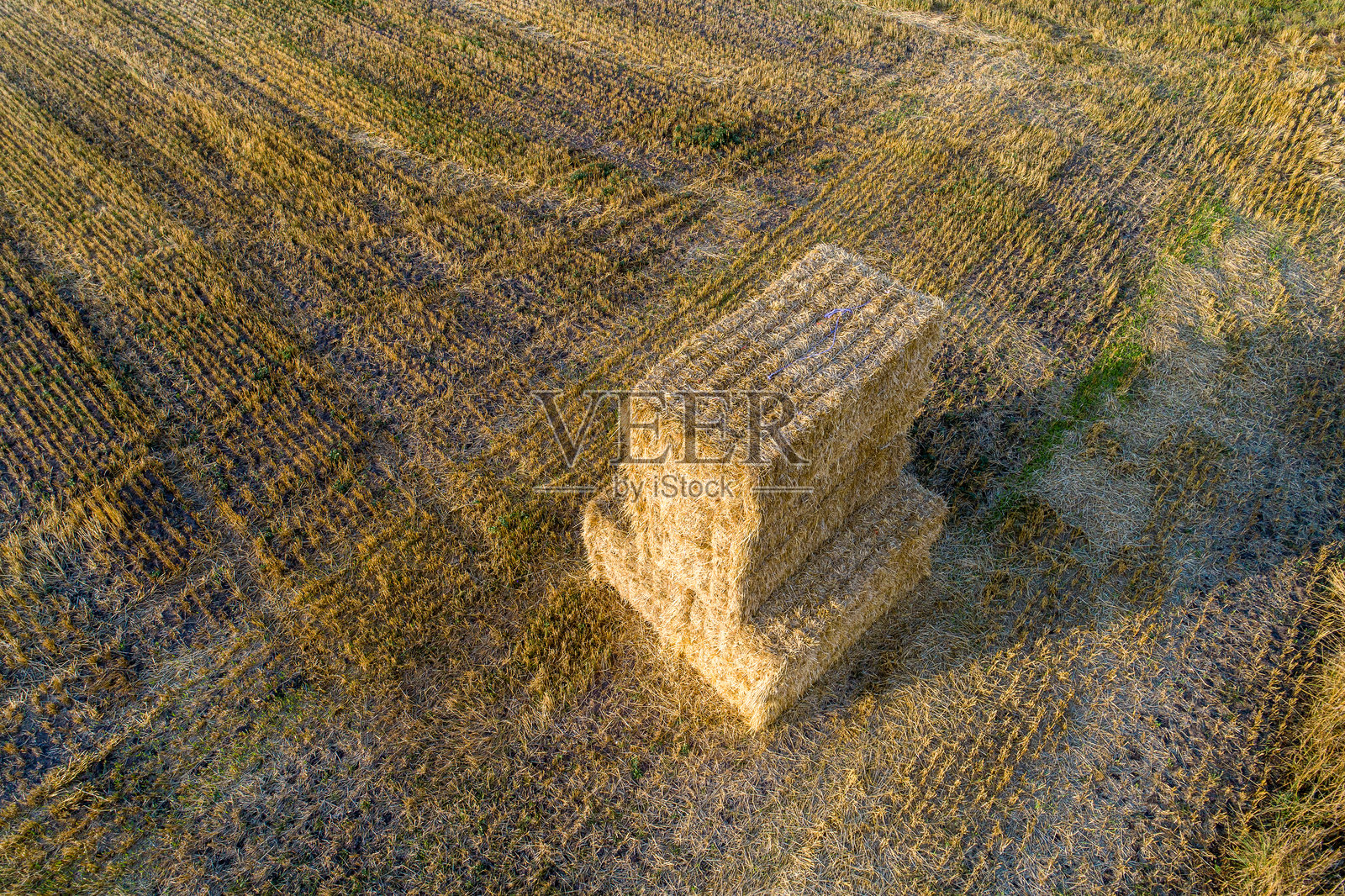 割过的田野中堆放的小麦秸秆，航拍视角。农业工作的概念。照片摄影图片