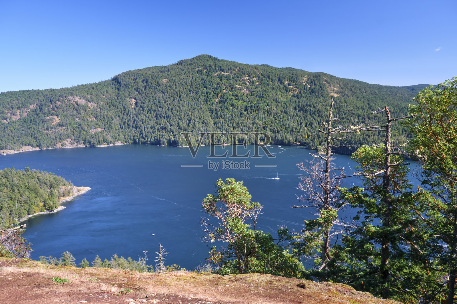 美丽的萨尼奇湾瞭望台照片摄影图片