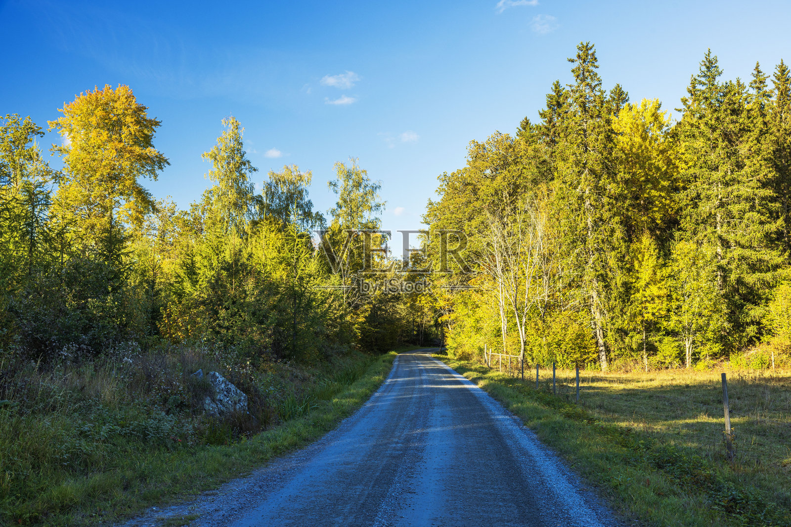 宁静的秋季风景中，树木成行的乡村道路。瑞典。照片摄影图片