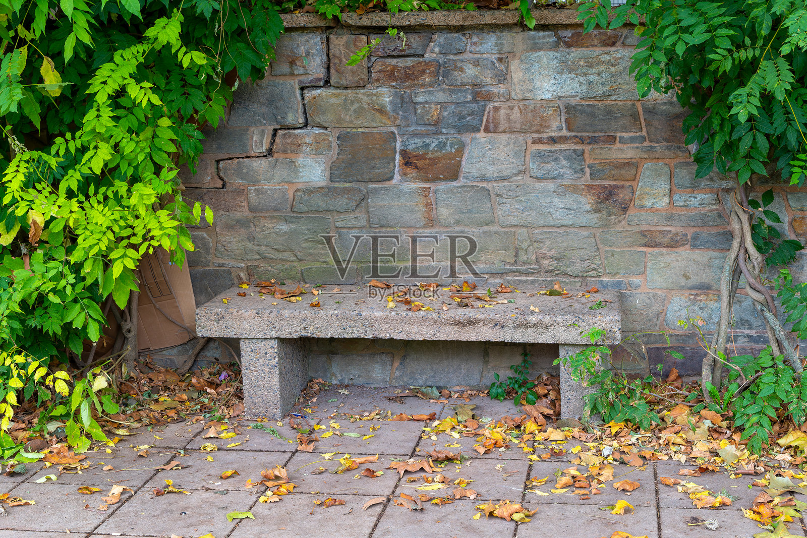 一张混凝土长椅坐落在石墙前，周围是落叶。照片摄影图片