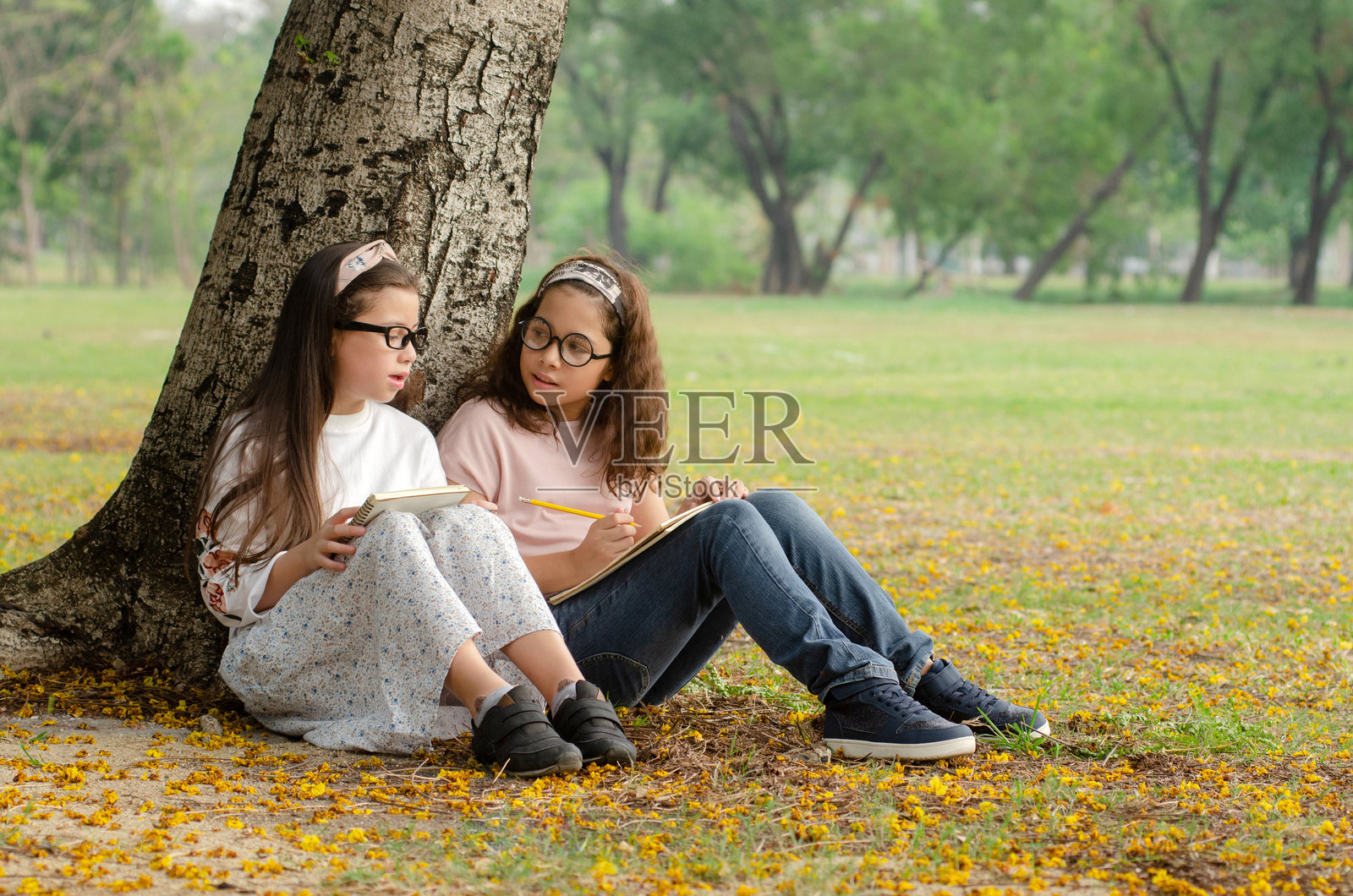 两个亲密的女孩朋友坐在户外公园的树干上。照片摄影图片