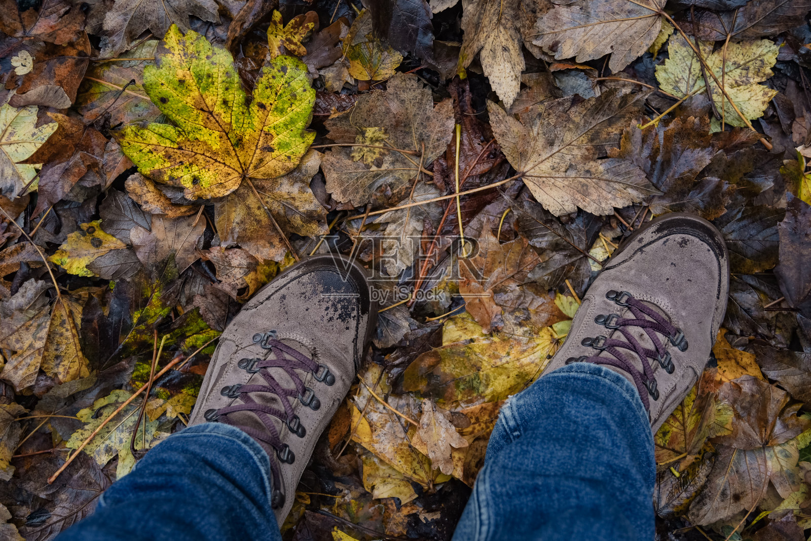 森林中的探险步道。秋天的地面上满是掉落的棕色和黄色树叶，从上方看到的登山靴。照片摄影图片