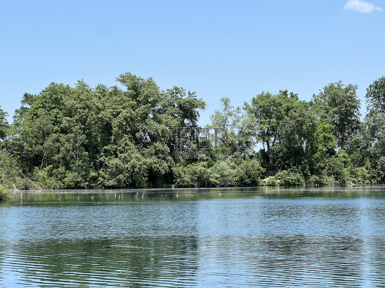 奥地利卢斯特瑙老莱茵自然公园的夏季氛围照片摄影图片