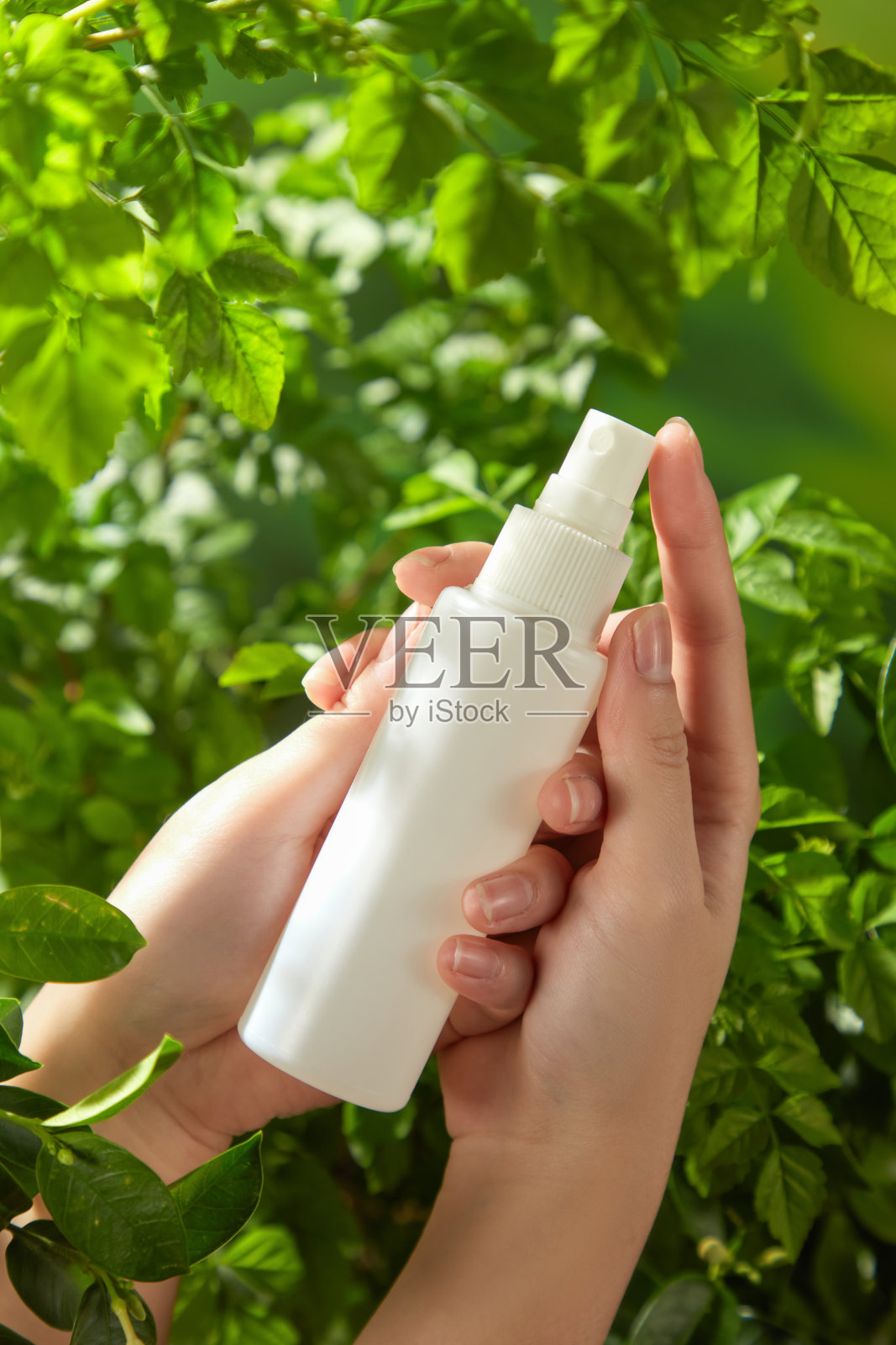 模特的手轻柔地握着一瓶带喷嘴的白色瓶子，背景是生机勃勃的绿色叶子，非常适合自然美容广告。照片摄影图片