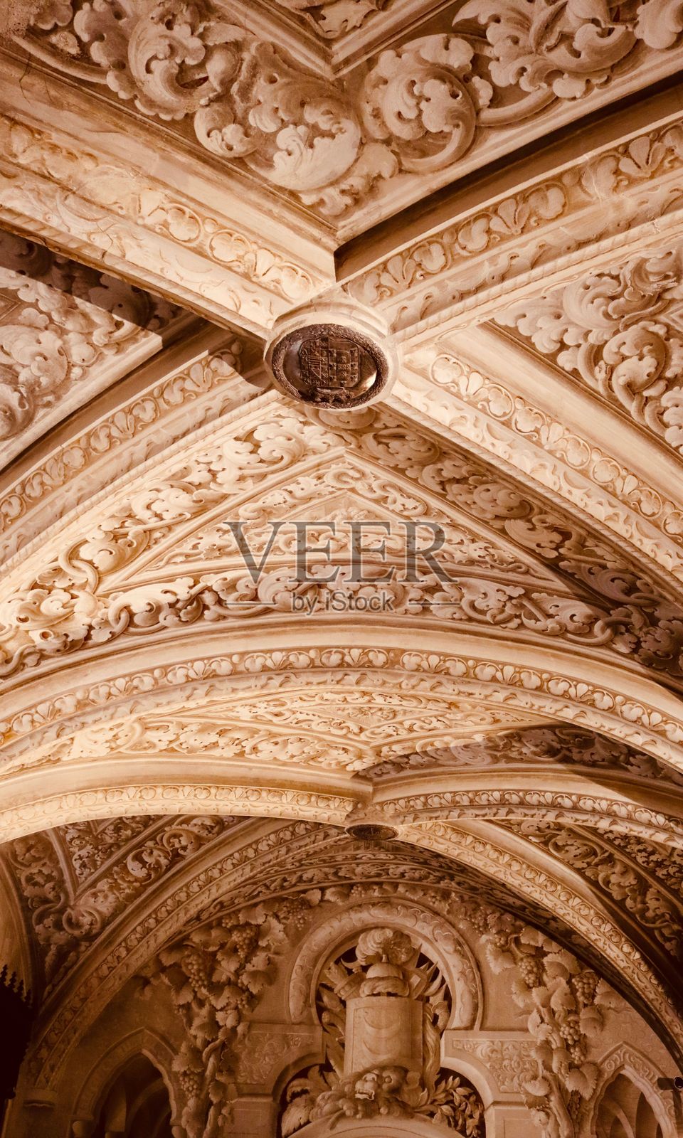 历史建筑中的华丽天花板细节照片摄影图片