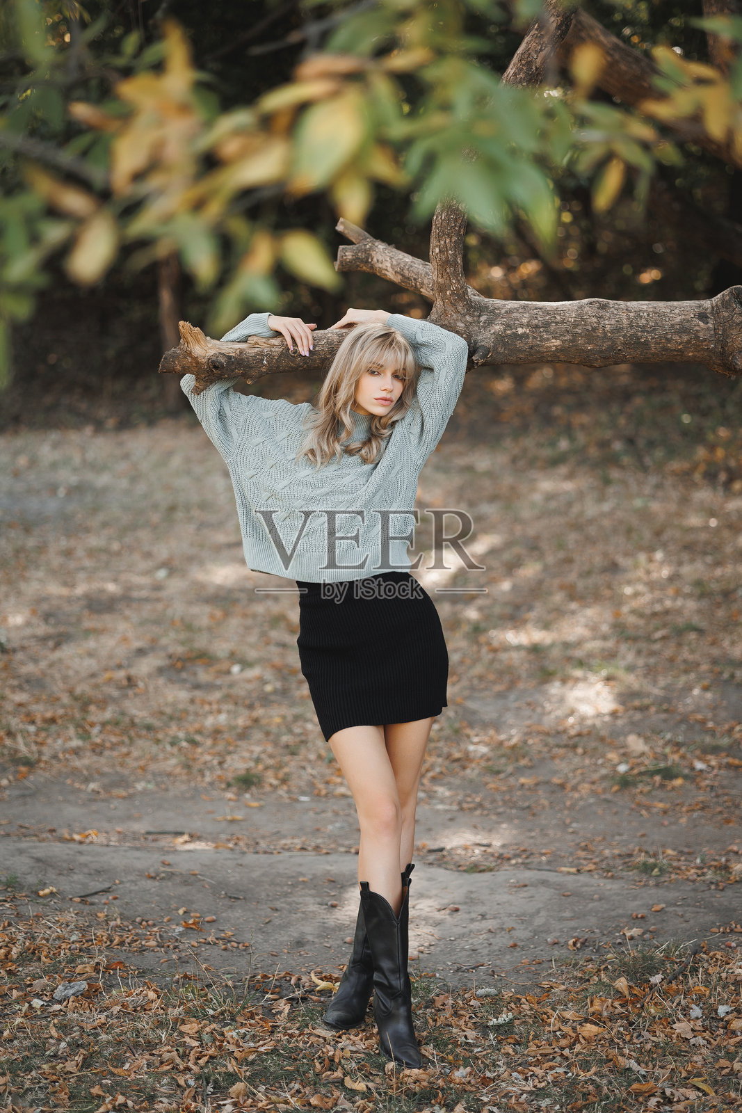 迷人的年轻金发女性穿着灰色毛衣和黑色裙子，在秋天的公园里漫步，享受温暖的秋季天气。照片摄影图片