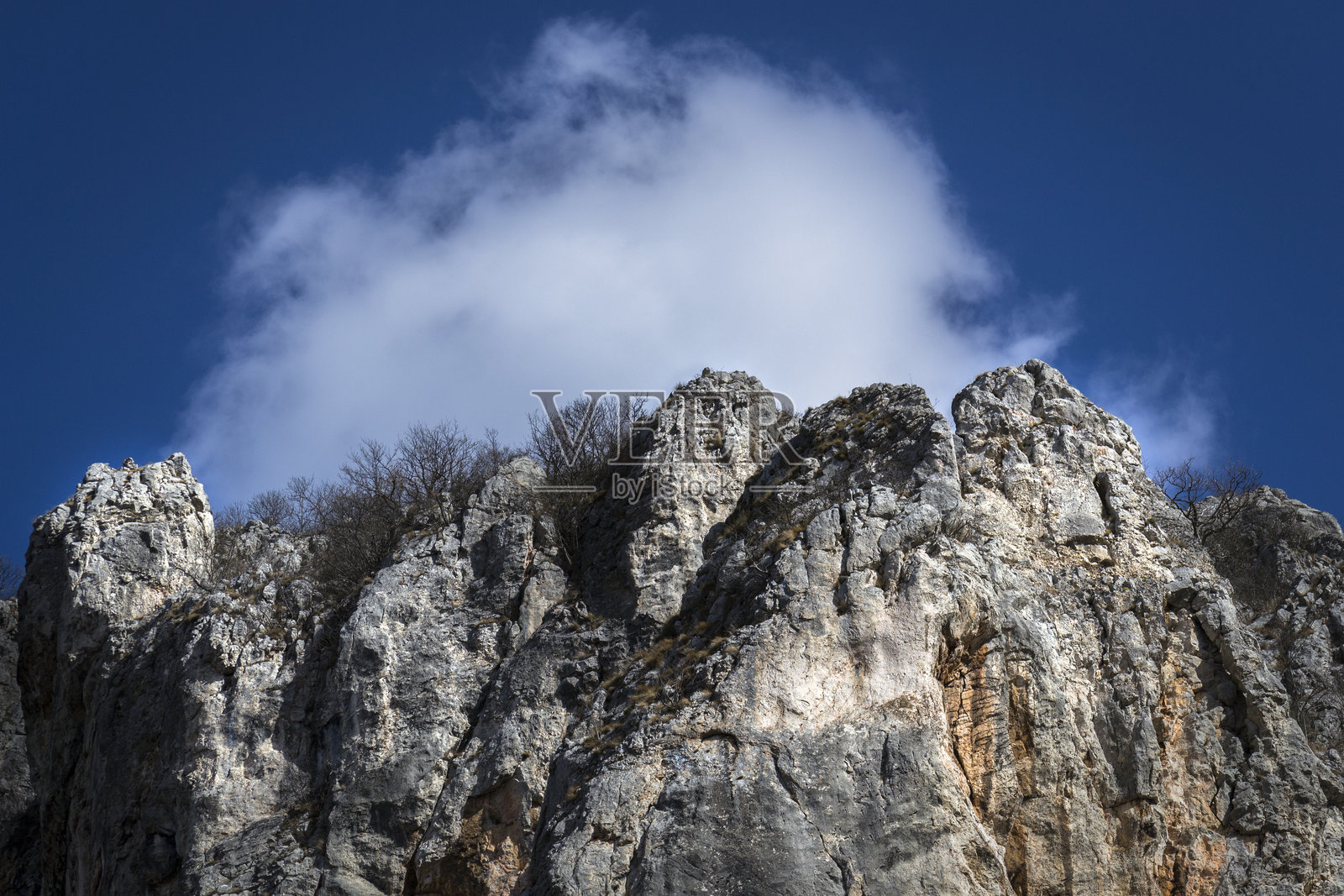 风景静物照片摄影图片