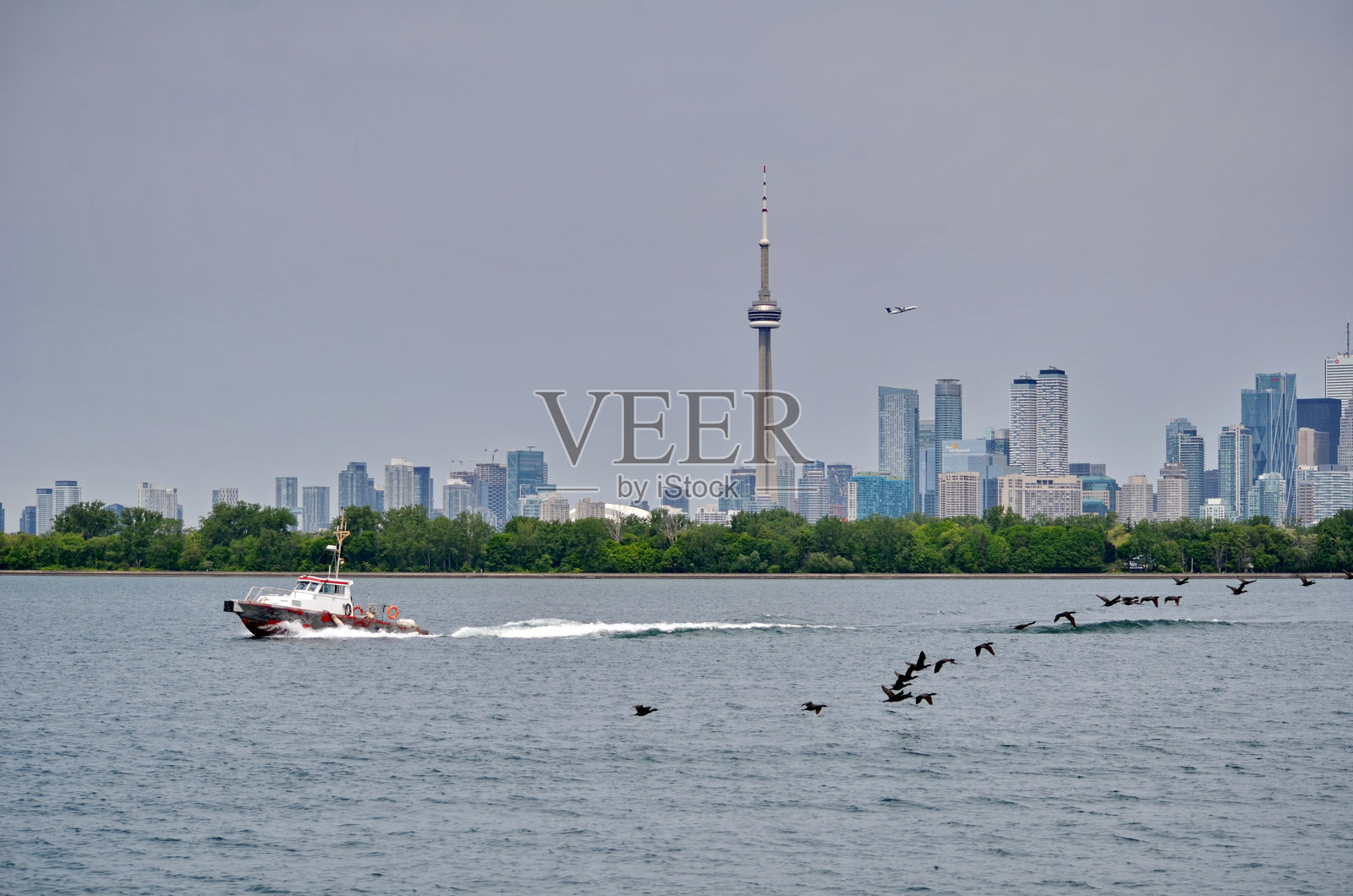 多伦多市中心和港口照片摄影图片