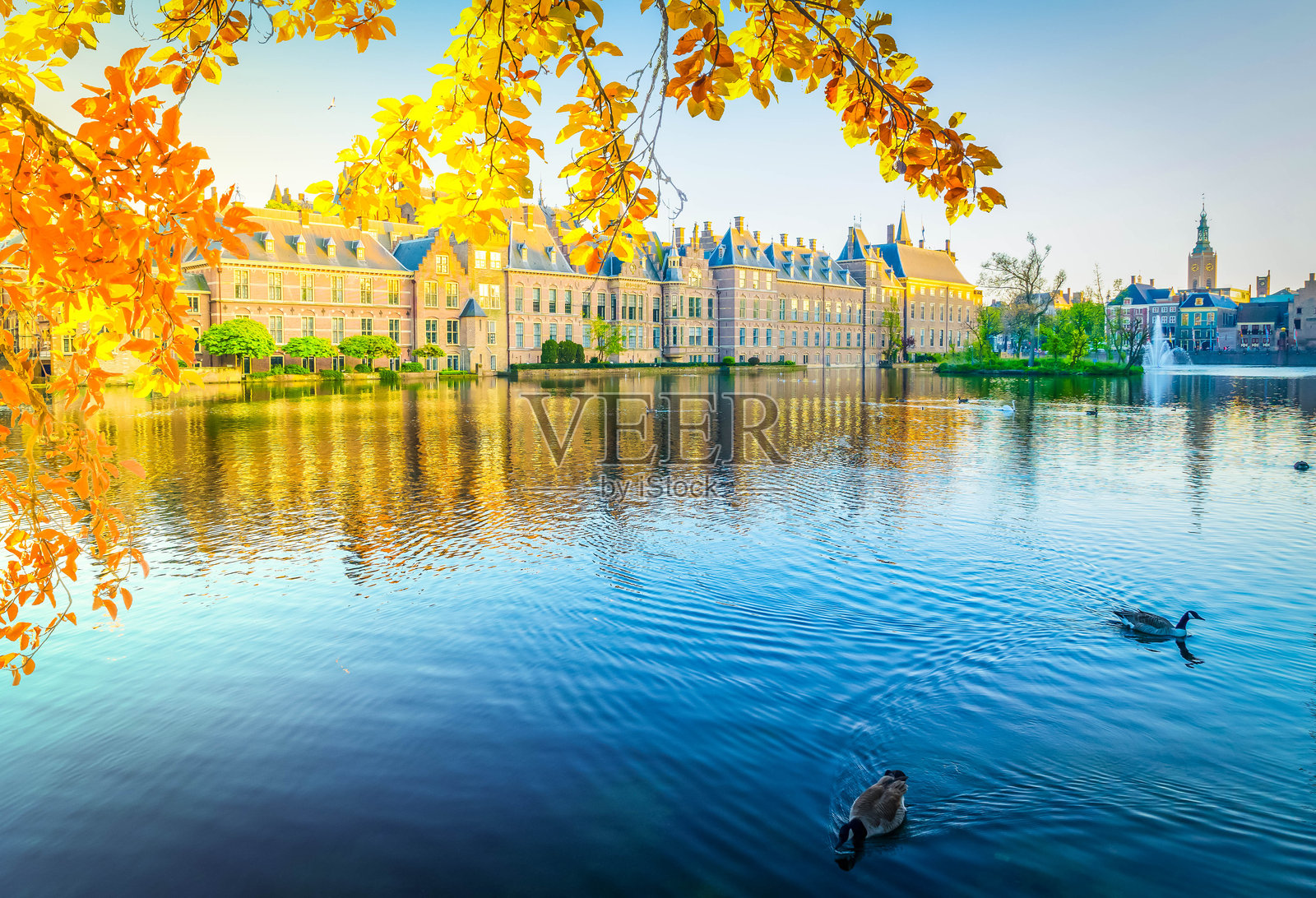 荷兰海牙宾嫩霍夫国会大厦照片摄影图片