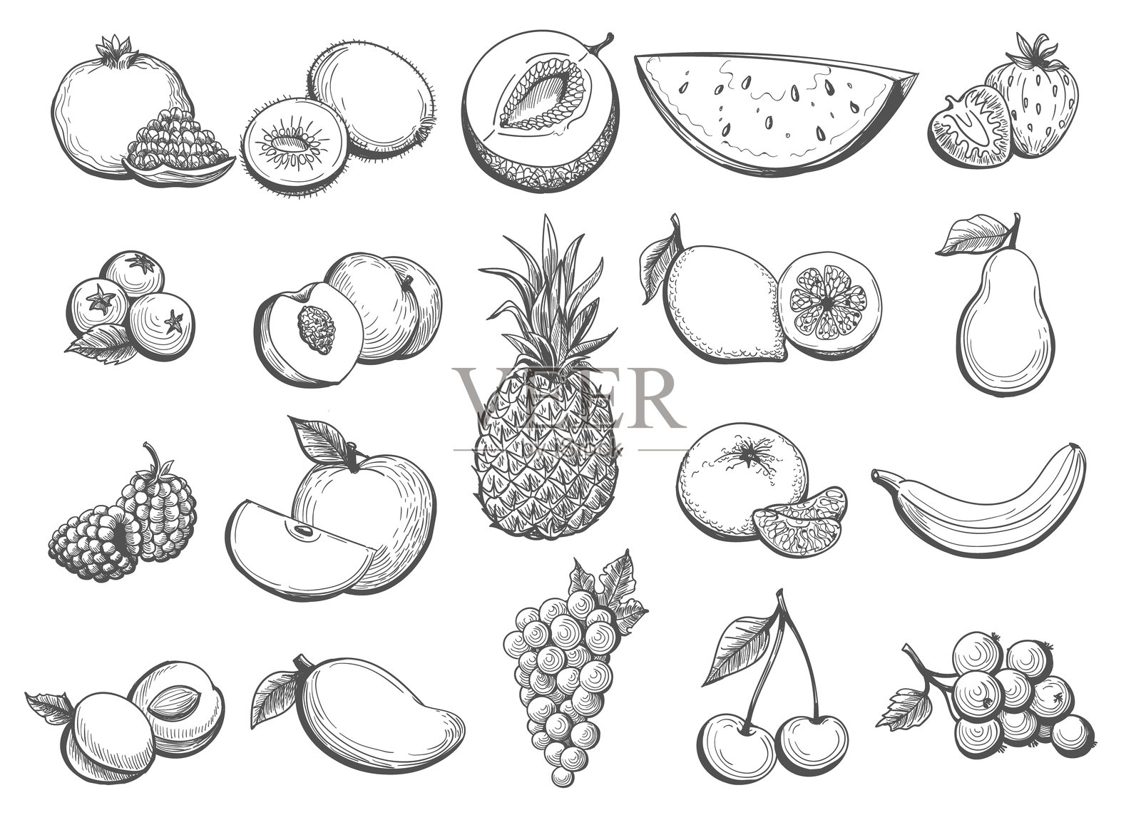 手绘水果素描插画图片素材