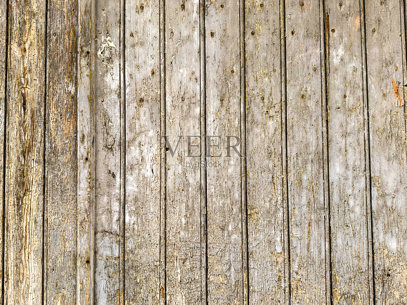 将木纹作为设计元素融入您的项目中照片摄影图片