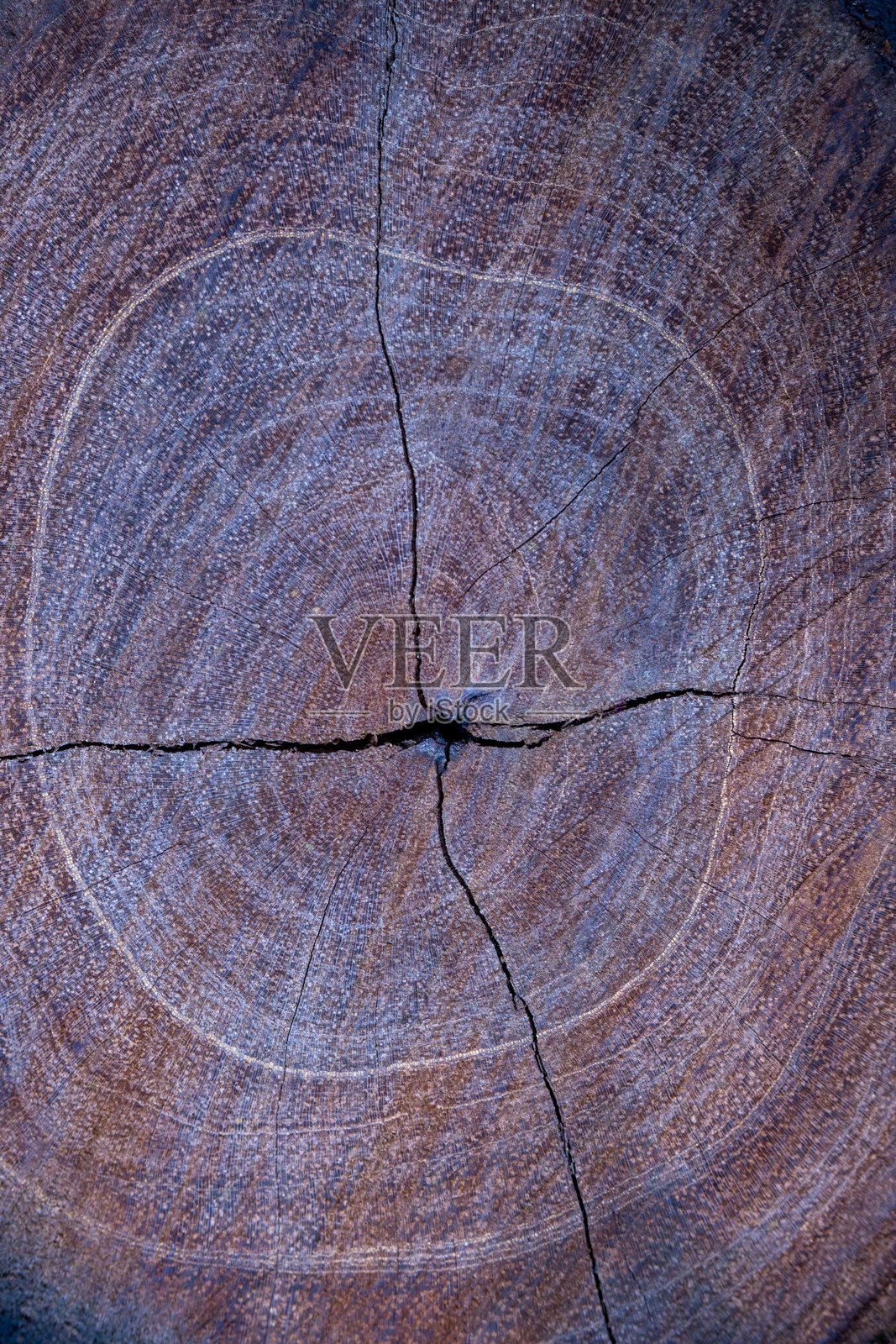 特写，微距，木材纹理和图案，竖拍摄影照片摄影图片