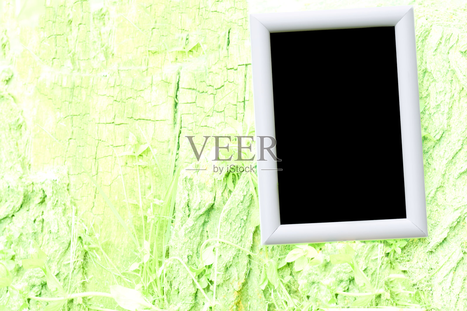 新鲜绿草上的黑色文本框白色边框照片摄影图片