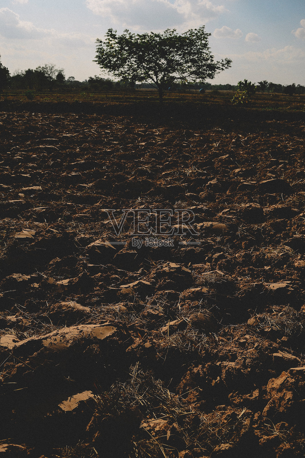 美丽的泰国自然风光照片摄影图片