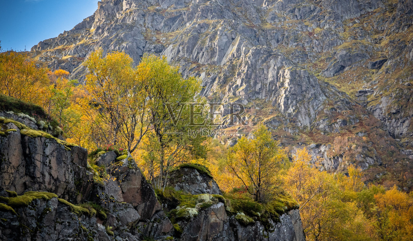 挪威洛弗敦群岛阳光明媚的秋日美丽岩石海岸风景。照片摄影图片