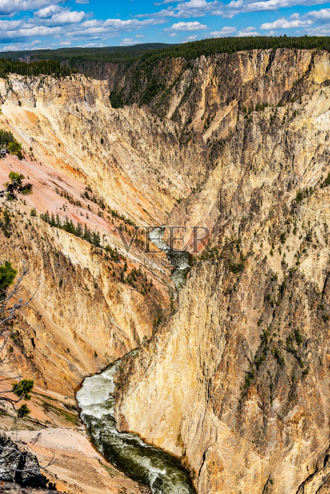 黄石国家公园的黄石大峡谷和下瀑布边缘，怀俄明州，美国。照片摄影图片