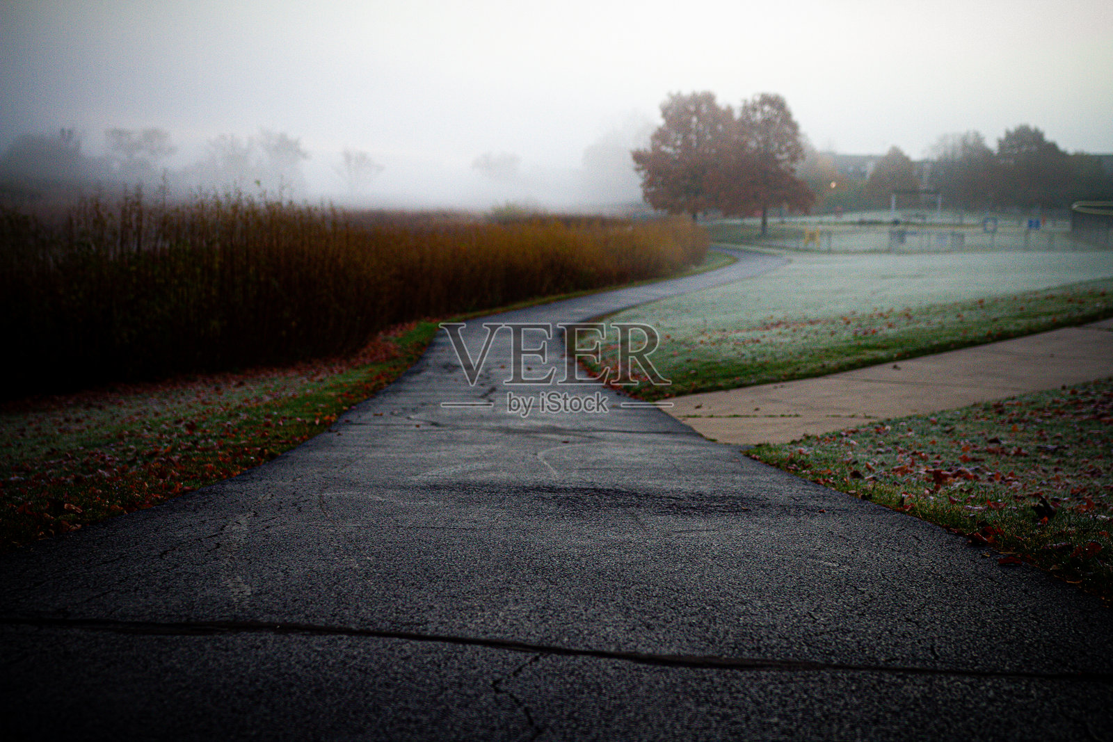 漫长的归途照片摄影图片