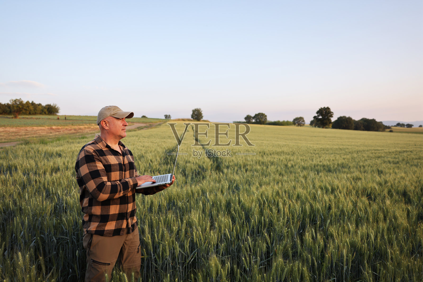 农民在麦田里用笔记本电脑工作。照片摄影图片
