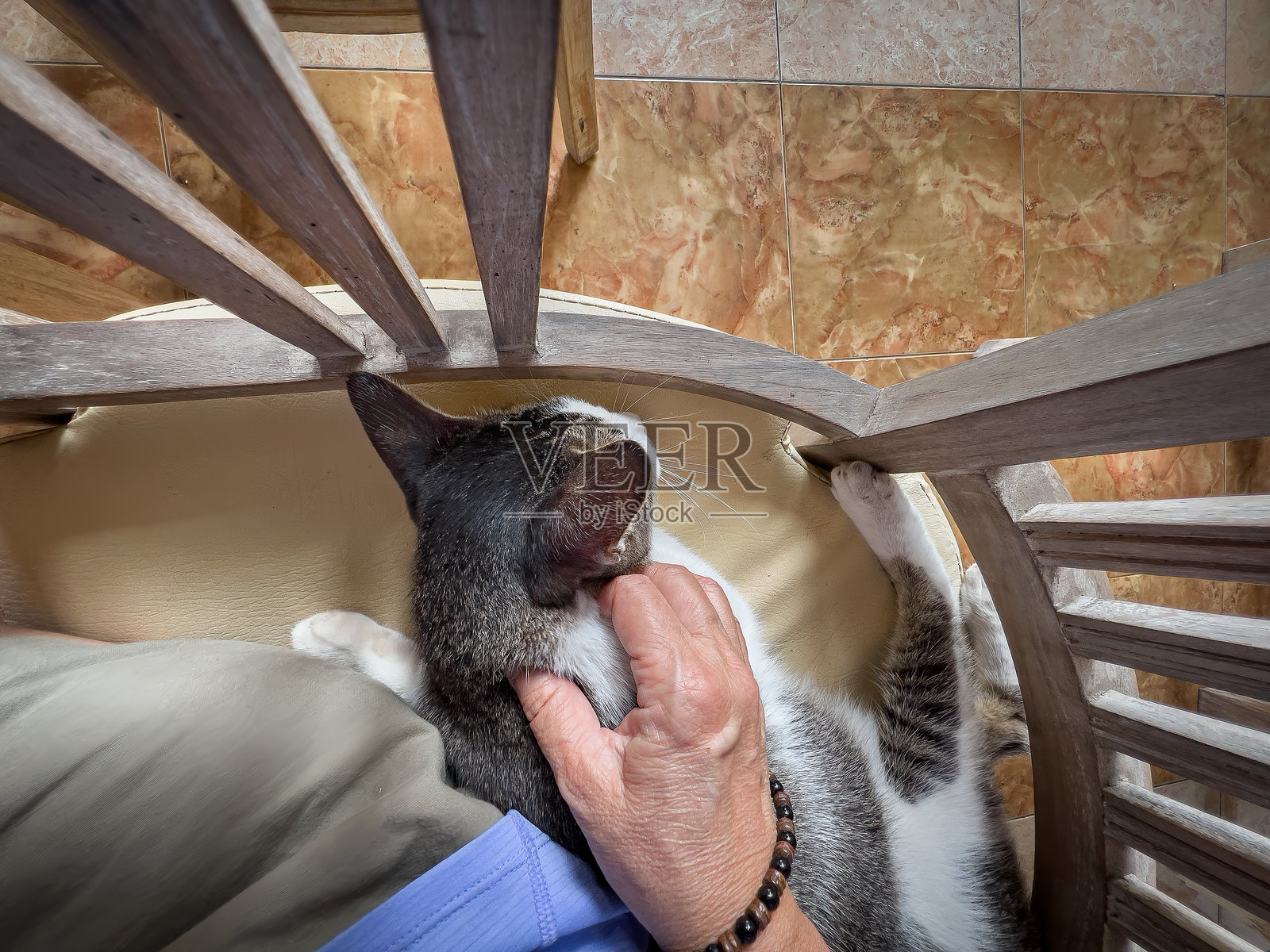 视角：一位年长的亚洲女性与猫咪共享椅子并轻抚它照片摄影图片