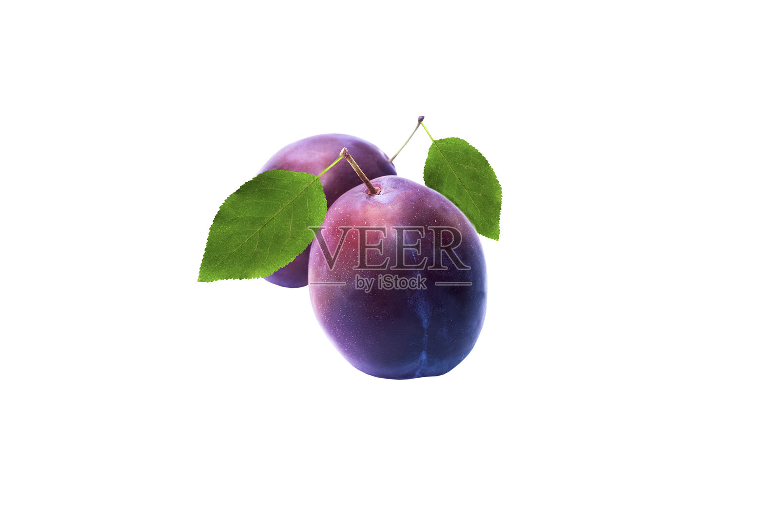 新鲜有机的两颗李子，带叶子，孤立在白色背景上。照片摄影图片