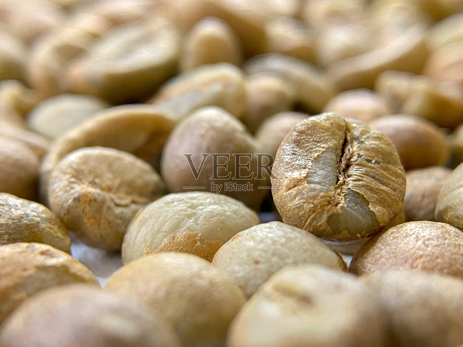 生咖啡豆特写。绿色未烘焙咖啡豆。照片摄影图片