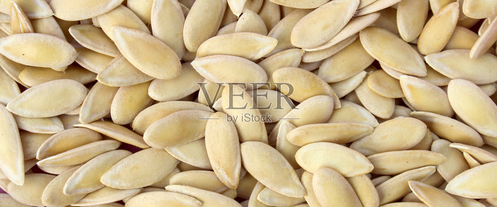 瓜子纹理特写。瓜子堆。照片摄影图片