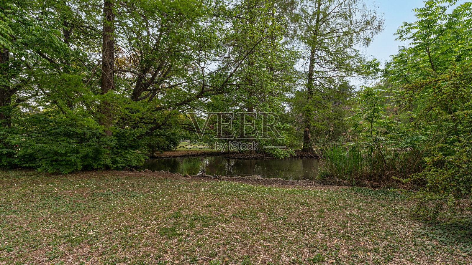 米兰：意大利时尚、艺术与创新的心脏照片摄影图片