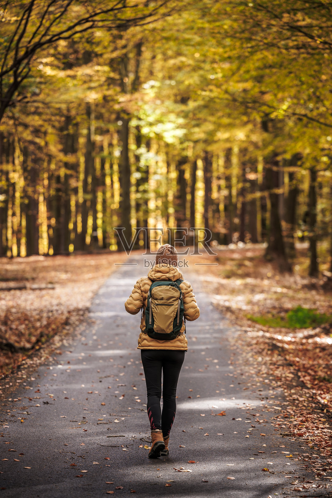 游客在秋季森林中的空旷乡间小路上行走照片摄影图片