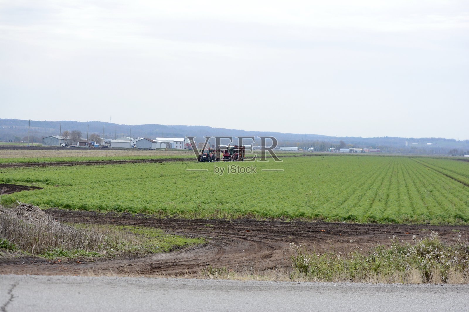 荷兰沼泽的农用拖拉机和设备照片摄影图片