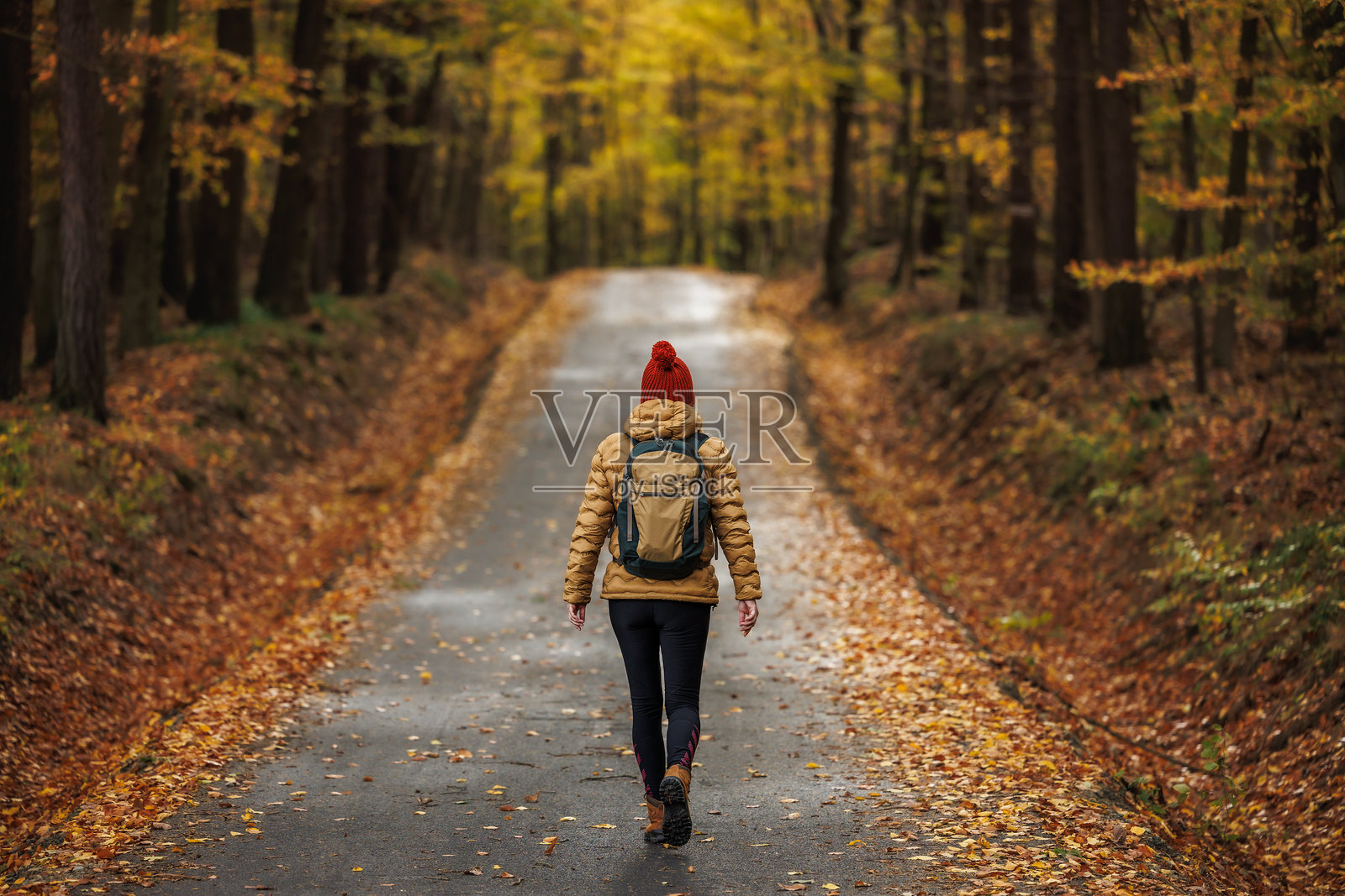 秋季森林中徒步旅行的女性照片摄影图片