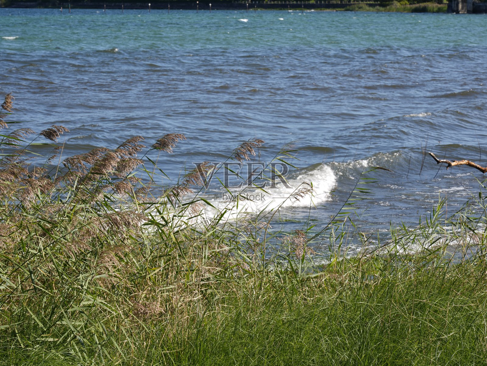 伊斯普拉港 - 马焦雷湖照片摄影图片