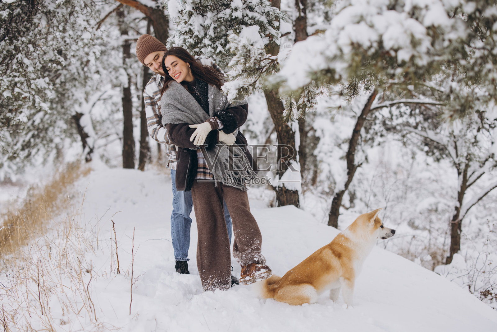 冬天雪天，幸福的年轻夫妇带着秋田犬在森林里散步照片摄影图片