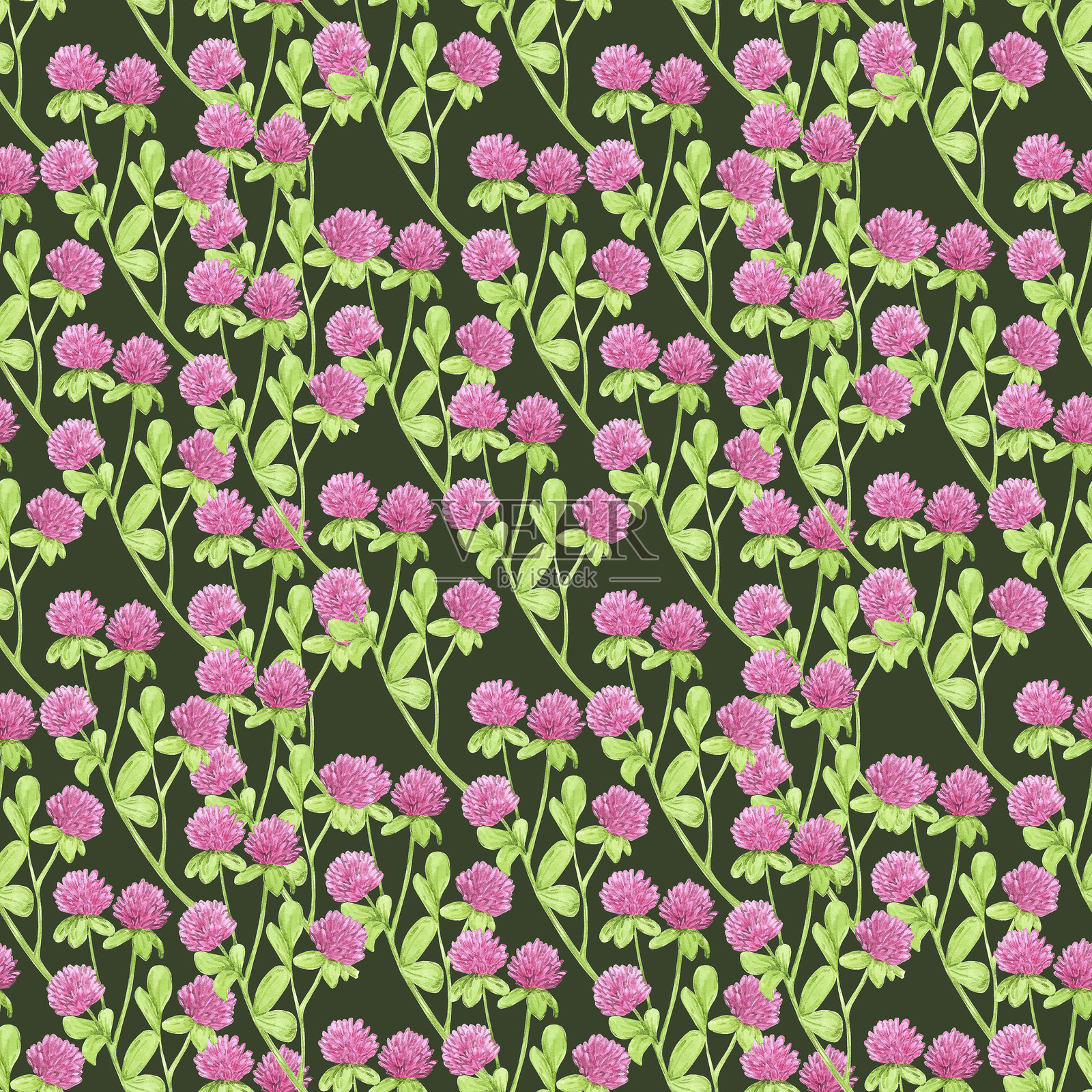 手绘水彩三叶草枝条无缝图案，背景为深绿色。可用于纺织品、布料、剪贴簿及其他印刷产品。插画图片素材