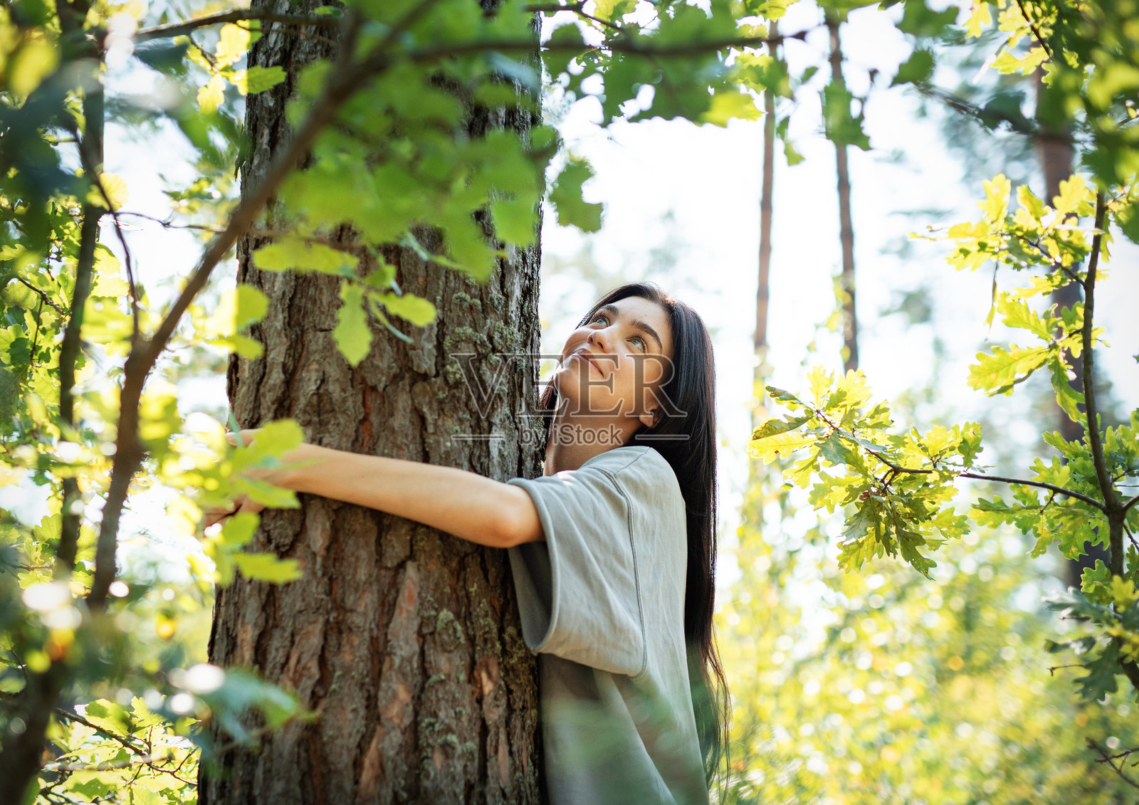 年轻女性在阳光明媚的夏季森林中拥抱一棵树，享受大自然。照片摄影图片