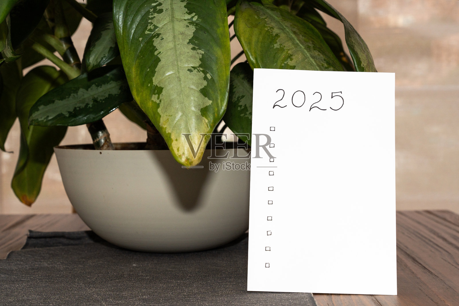 一份写有“2025”和目标清单的白皮书放在装饰有植物的餐桌上 - 新年目标概念照片摄影图片