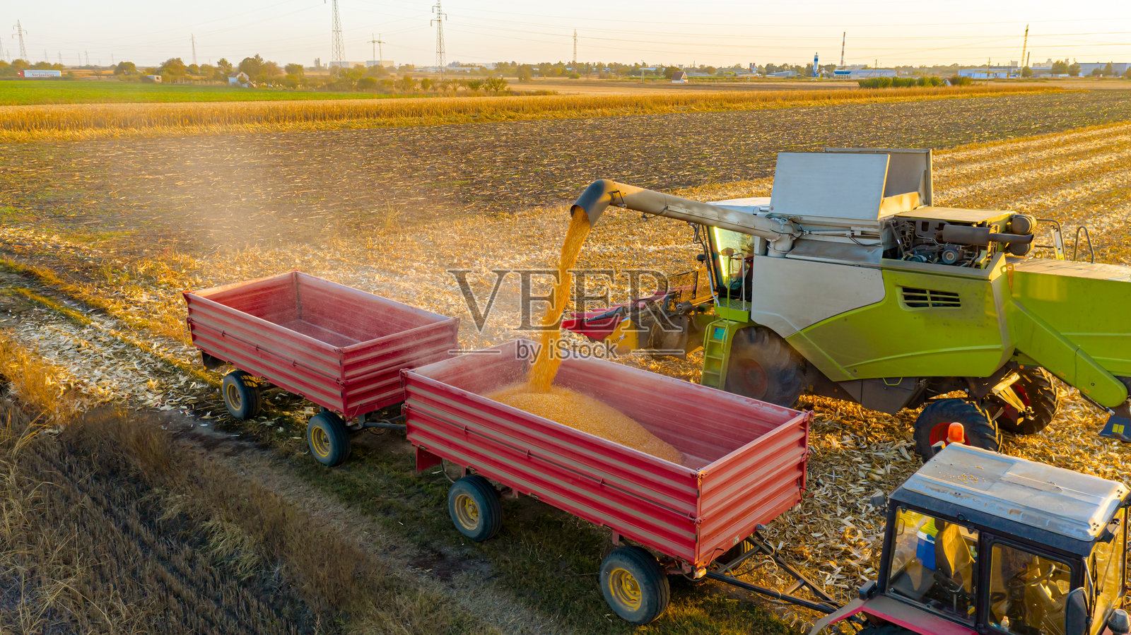 从空中俯瞰联合收割机将新鲜收获的谷物转移到运输拖车中。照片摄影图片