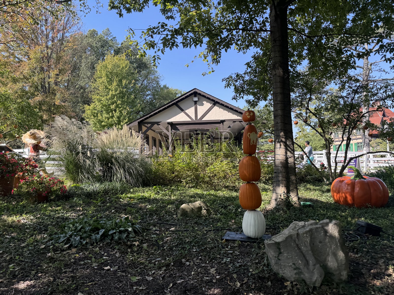 秋季装饰点缀着一个温馨的场所，四周环绕着五彩斑斓的树叶和应季的南瓜。照片摄影图片