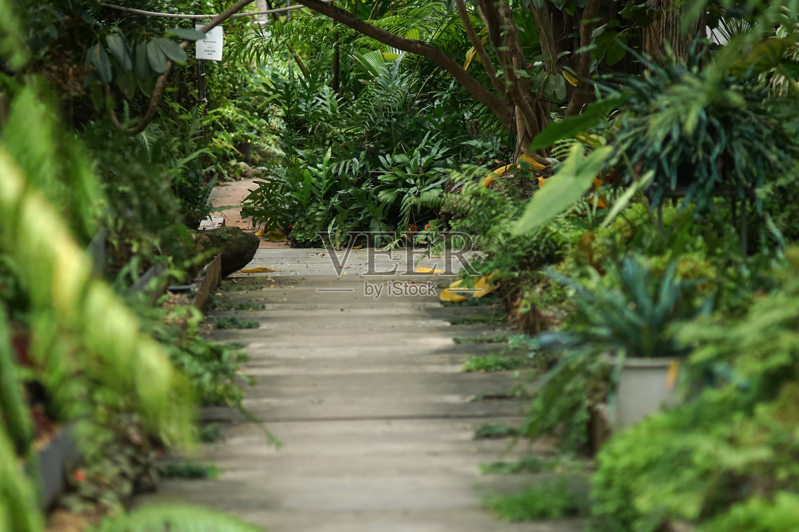小径花园照片摄影图片