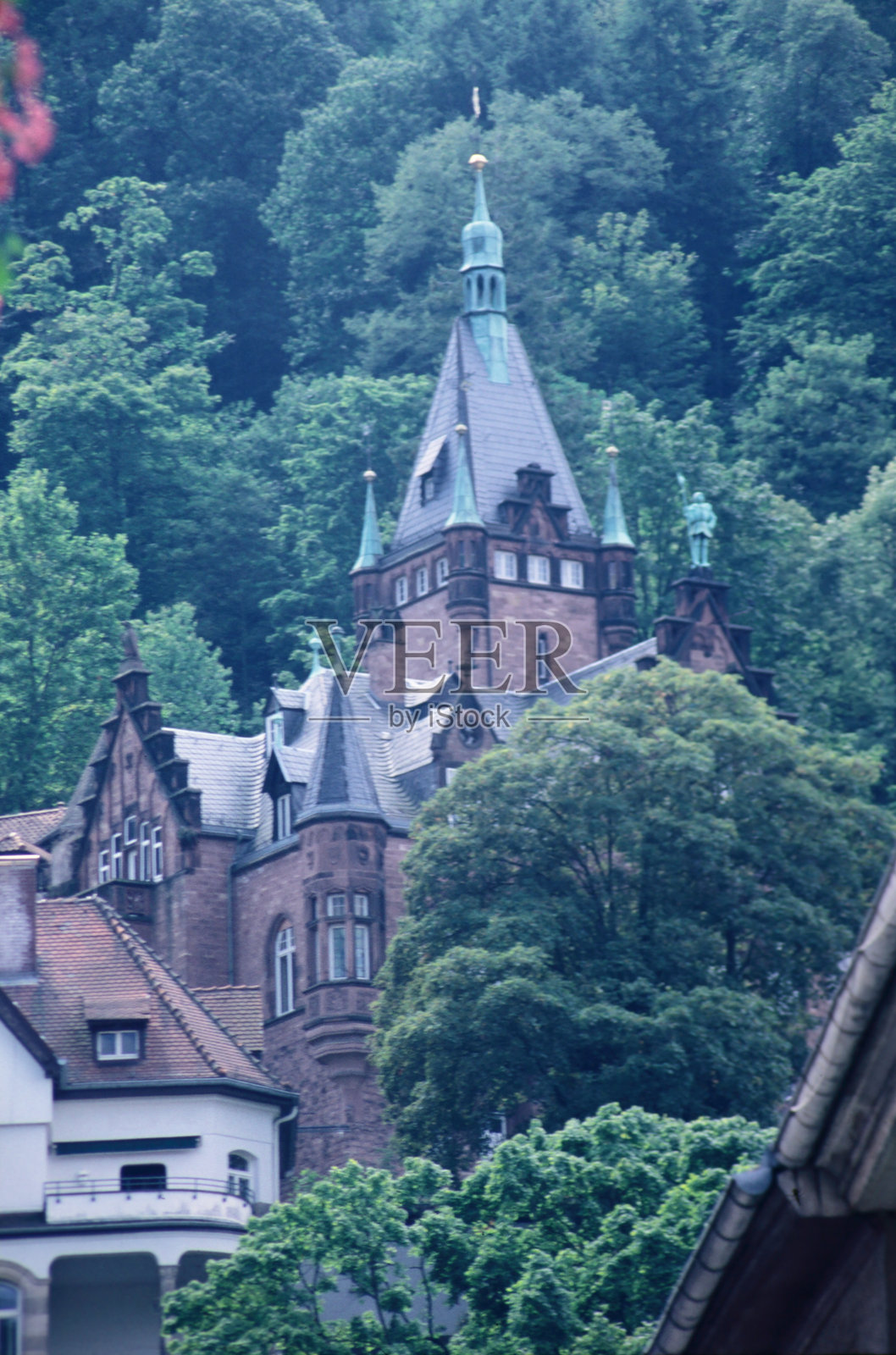 海德堡德国老城的山丘上,森林环绕的房屋景观照片摄影图片