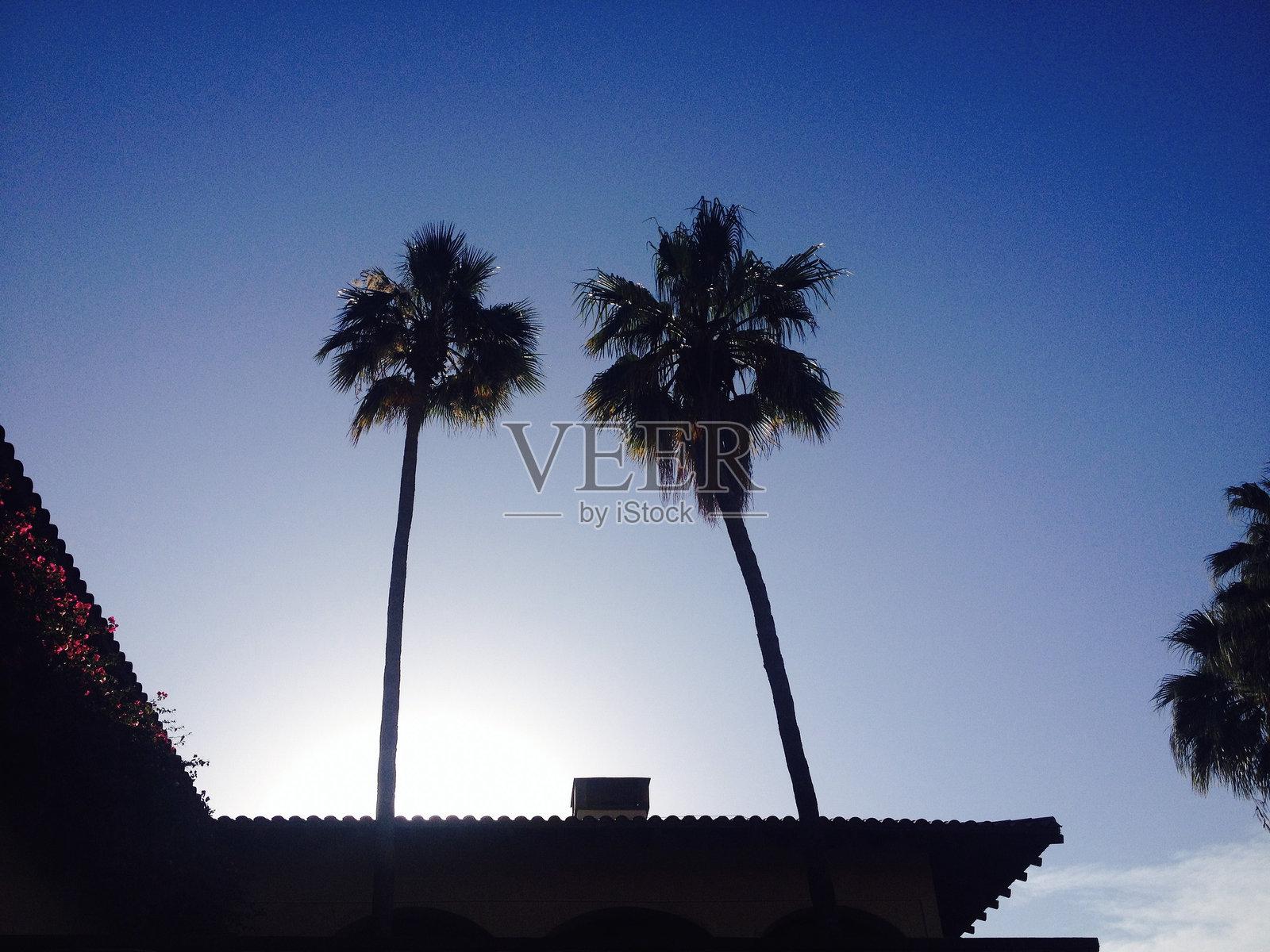 棕榈泉的棕榈树阴影照片摄影图片