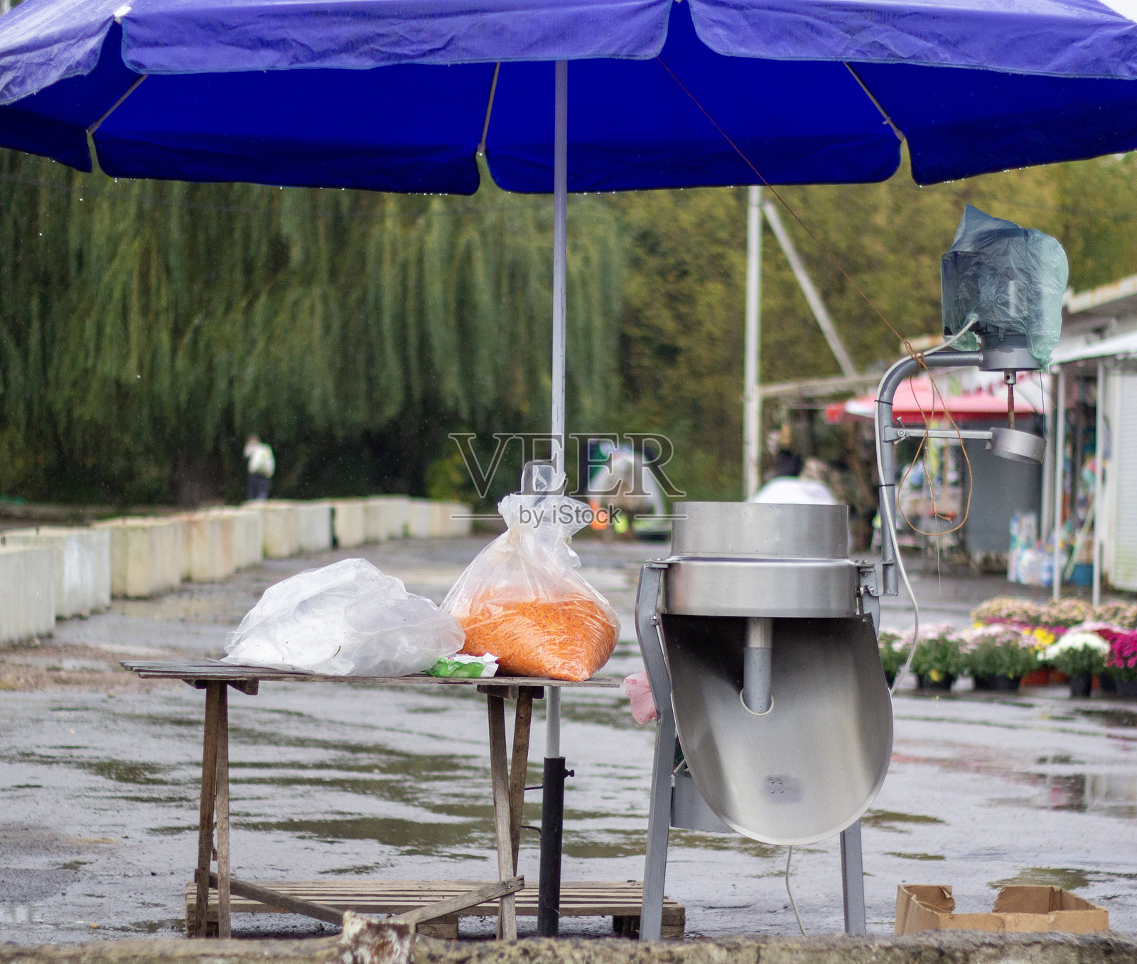 切碎卷心菜和胡萝卜的设备。蔬菜发酵照片摄影图片