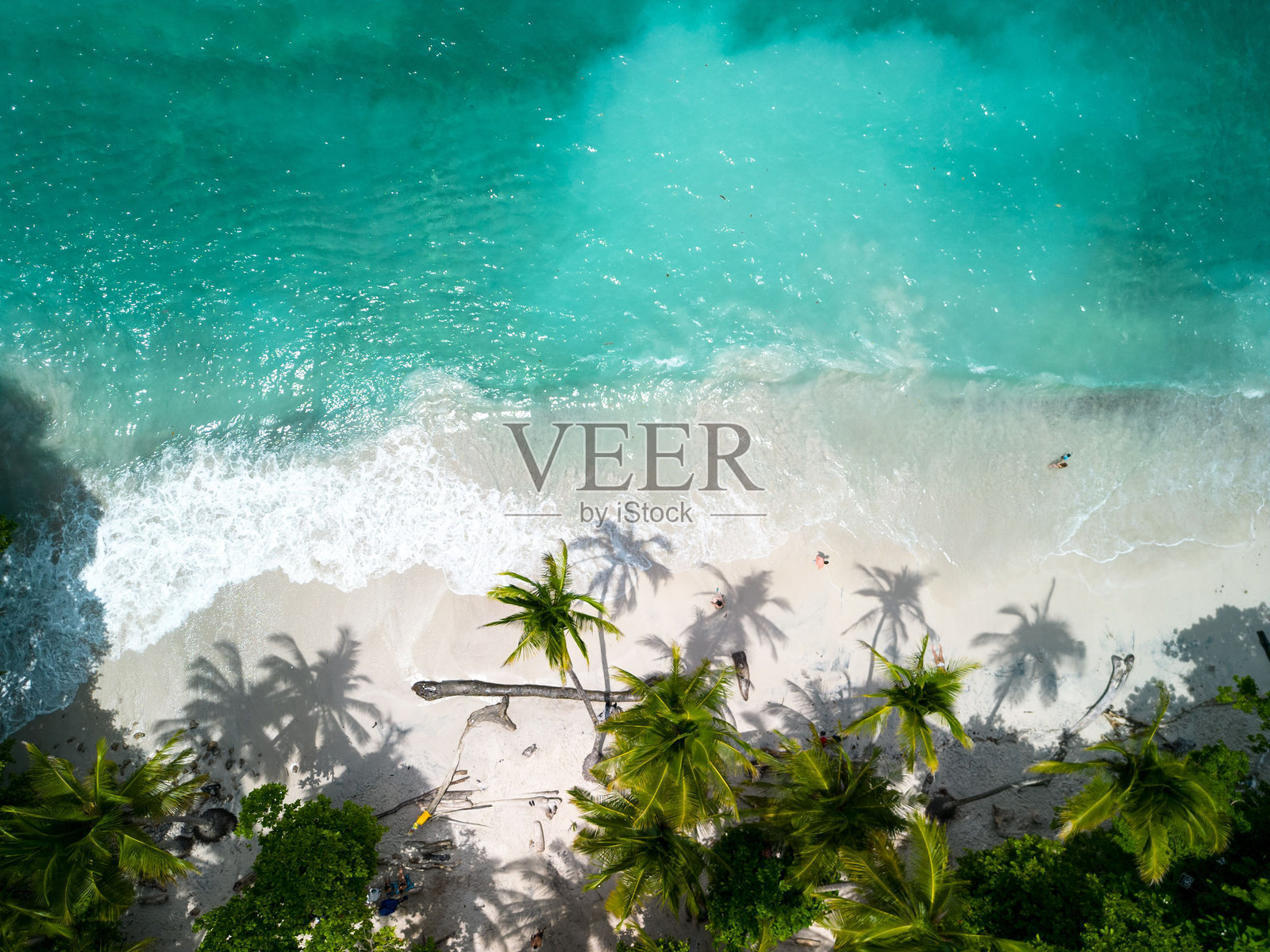 太平洋哥斯达黎加的Quesera海滩景观，碧蓝的海水和白色沙滩照片摄影图片