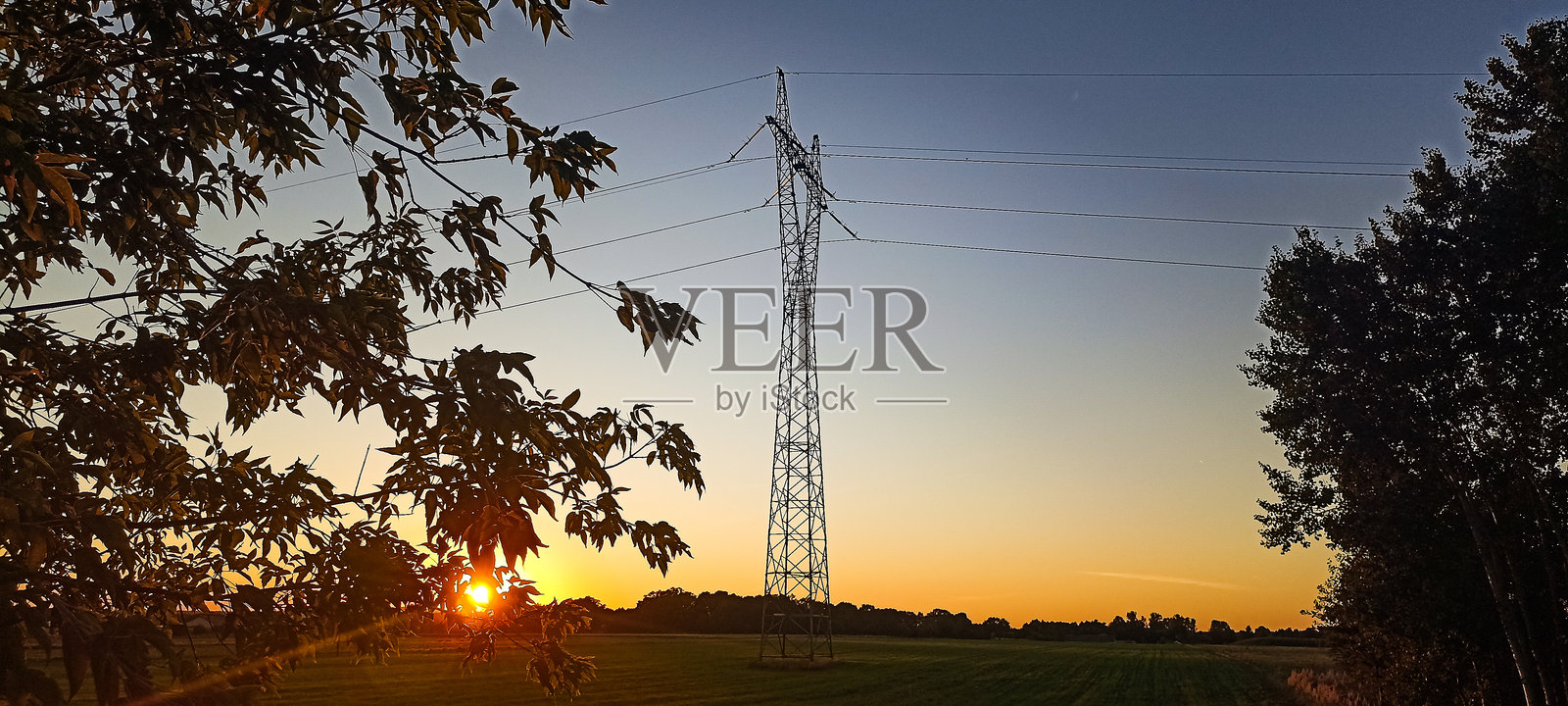 夕阳下，树木和灌木丛中的田野里，电线杆和电力线交错。照片摄影图片