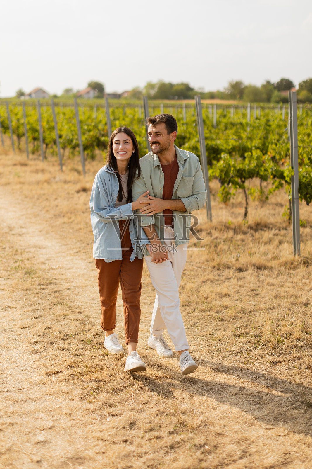 一对情侣在阳光明媚的下午，手牵手漫步在郁郁葱葱的葡萄园小径上。照片摄影图片