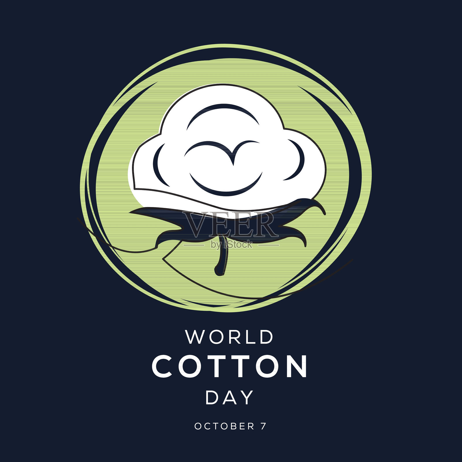 世界棉花日。插画图片素材