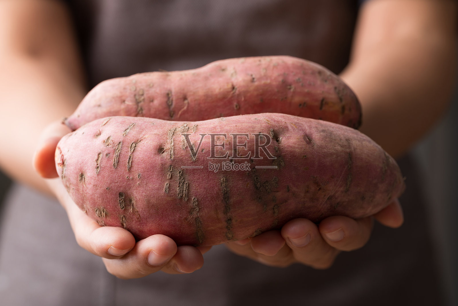 手持生鲜有机日本甘薯照片摄影图片