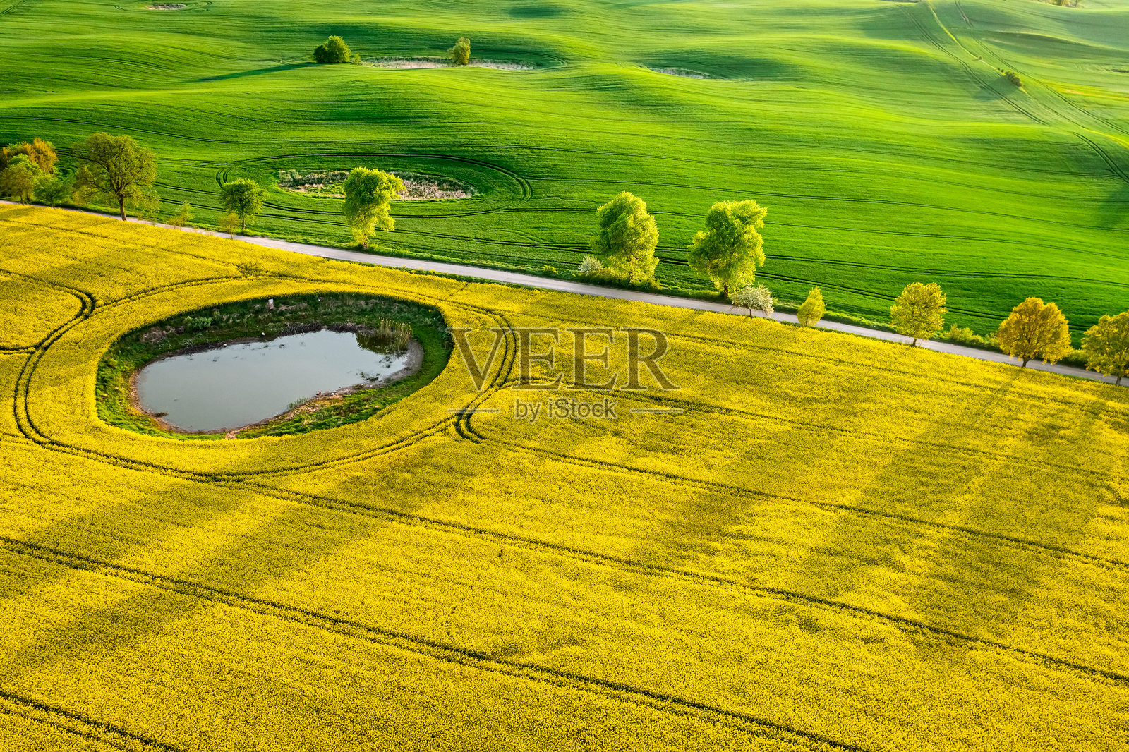 乡村的绿色和黄色田野。农业的鸟瞰图。照片摄影图片