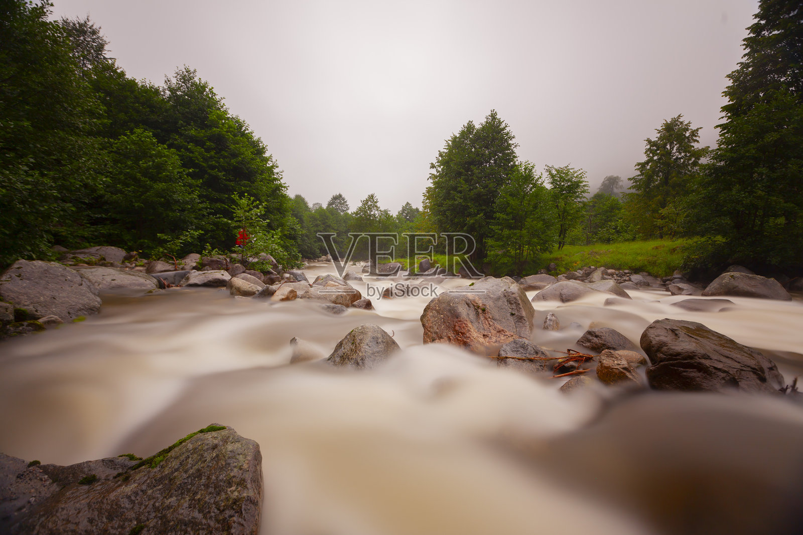 卡卡尔山国家公园，野生动物公园照片摄影图片
