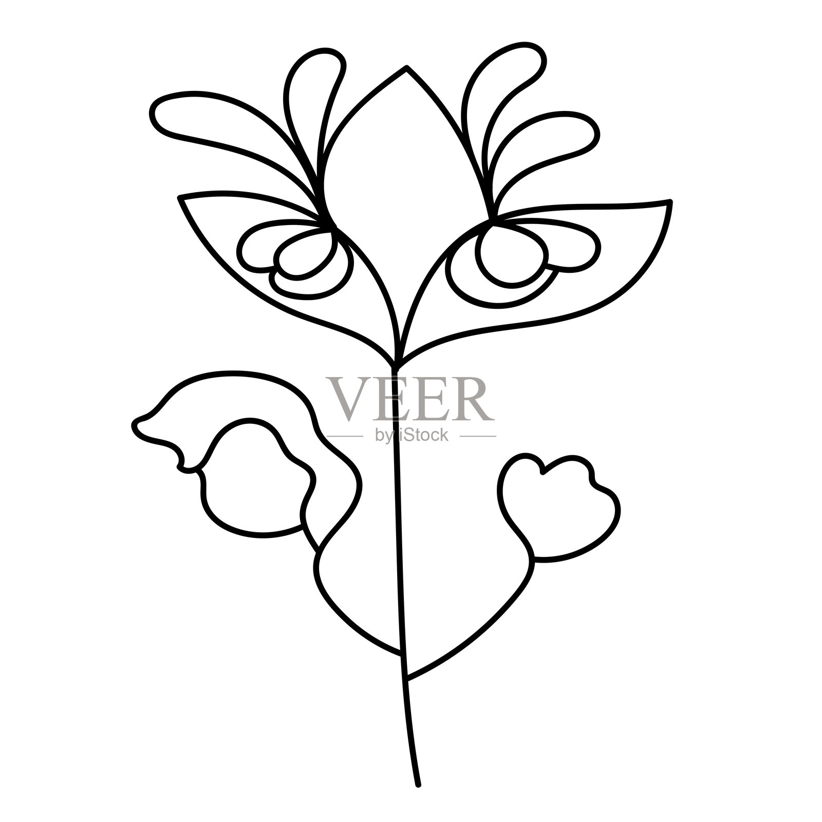 极简主义花卉矢量插图。插画图片素材