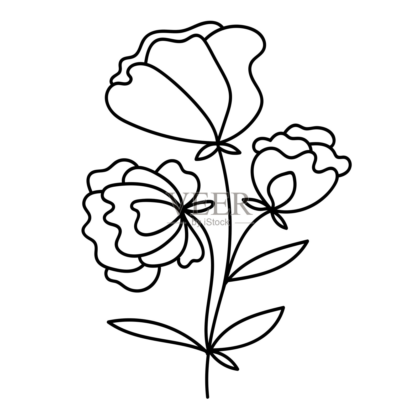 极简主义花卉矢量插图。插画图片素材